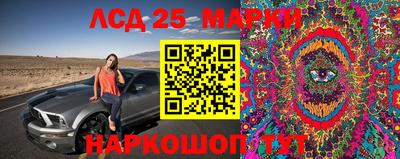 прущие грибы Аргун