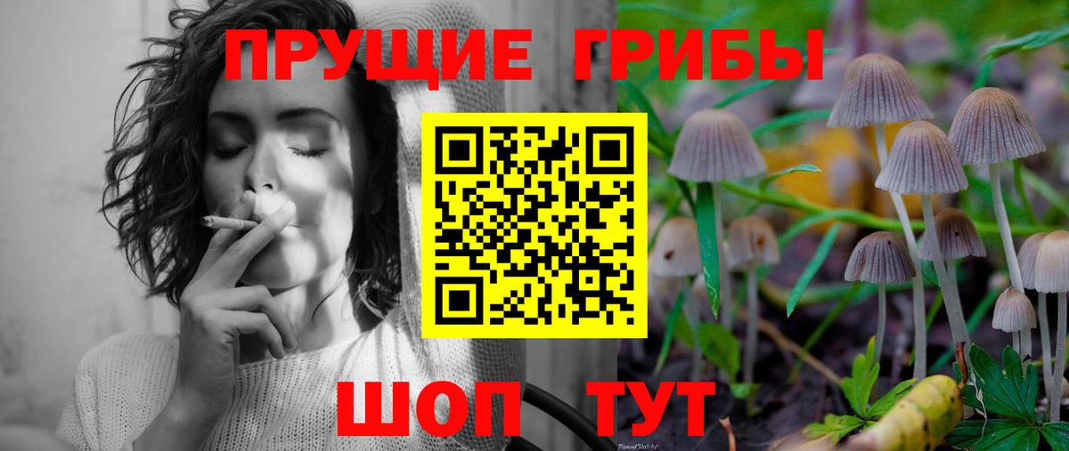 Галлюциногенные грибы MAGIC MUSHROOMS  Псилоцибиновые грибы Magic Shrooms  Вход с VPN  Бахчисарай 